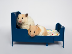 Small critter bed